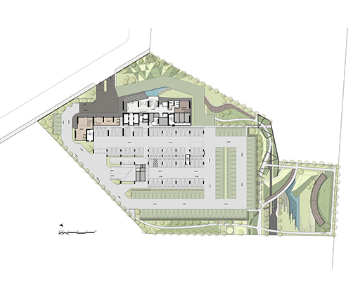 whizdom 101 Site map